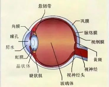 62a19fc99728c.jpg