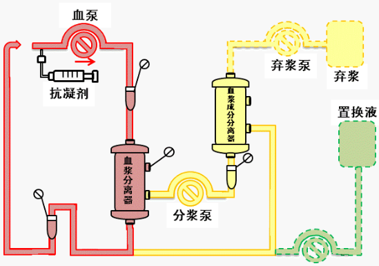62d11f3aee649.png